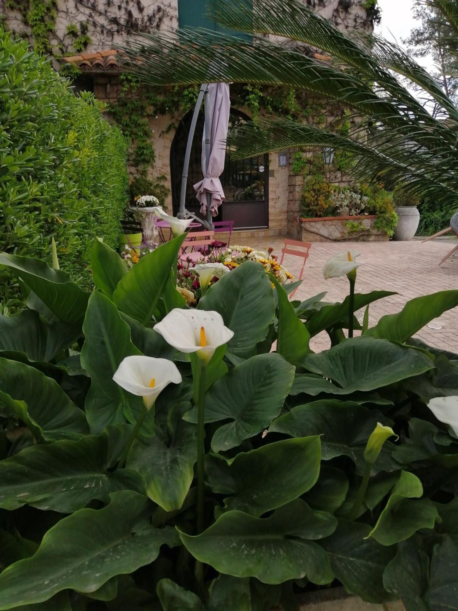Auberge Les Aromes Grasse Ngoại thất bức ảnh